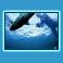 gallery_sub_17.jpg