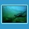 gallery_sub_21.jpg